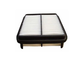 Air Cleaner 11050
