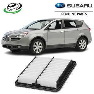 Subaru Tribeca 2007 Air Filter Element Sub-Assy 16546AA120