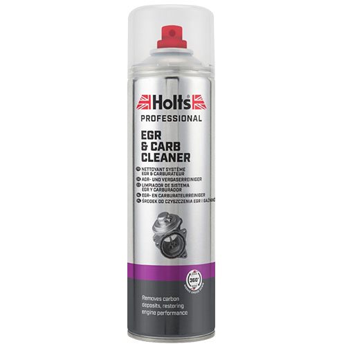 EGR And Carb Cleaner Holts Professional