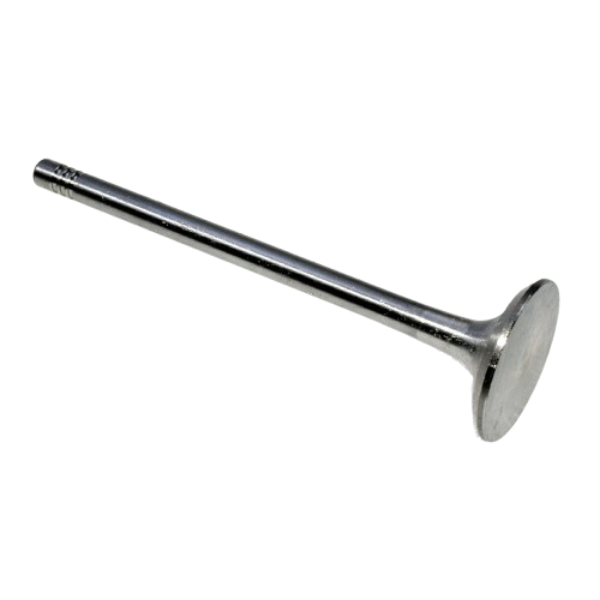 AUDI 8J TTRS Engine Exhaust Valve 06D109611H